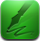 شروط الخدمة